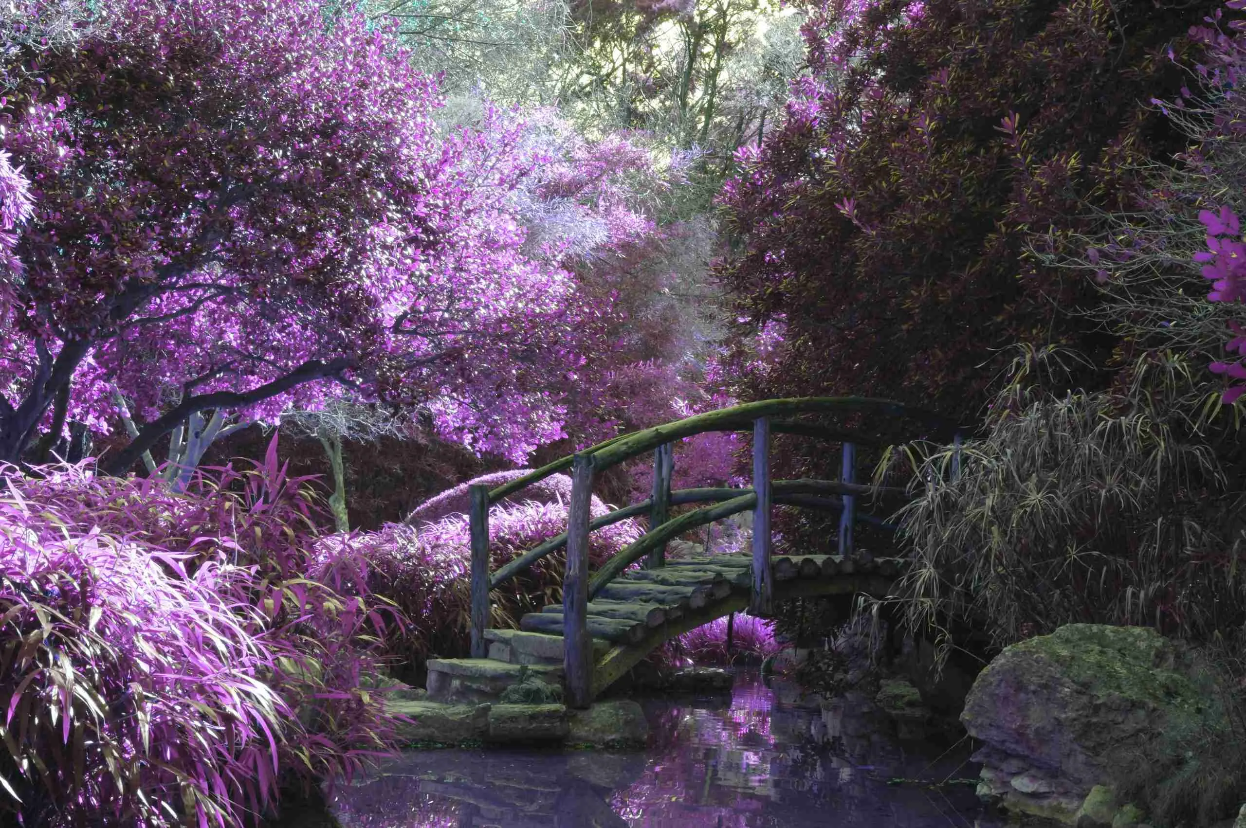 Can A Zen Garden Have Multiple Levels?
