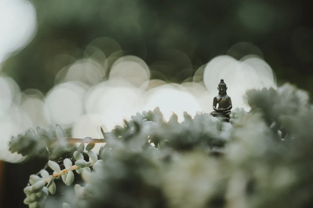 What Is The Japanese Term For Zen?