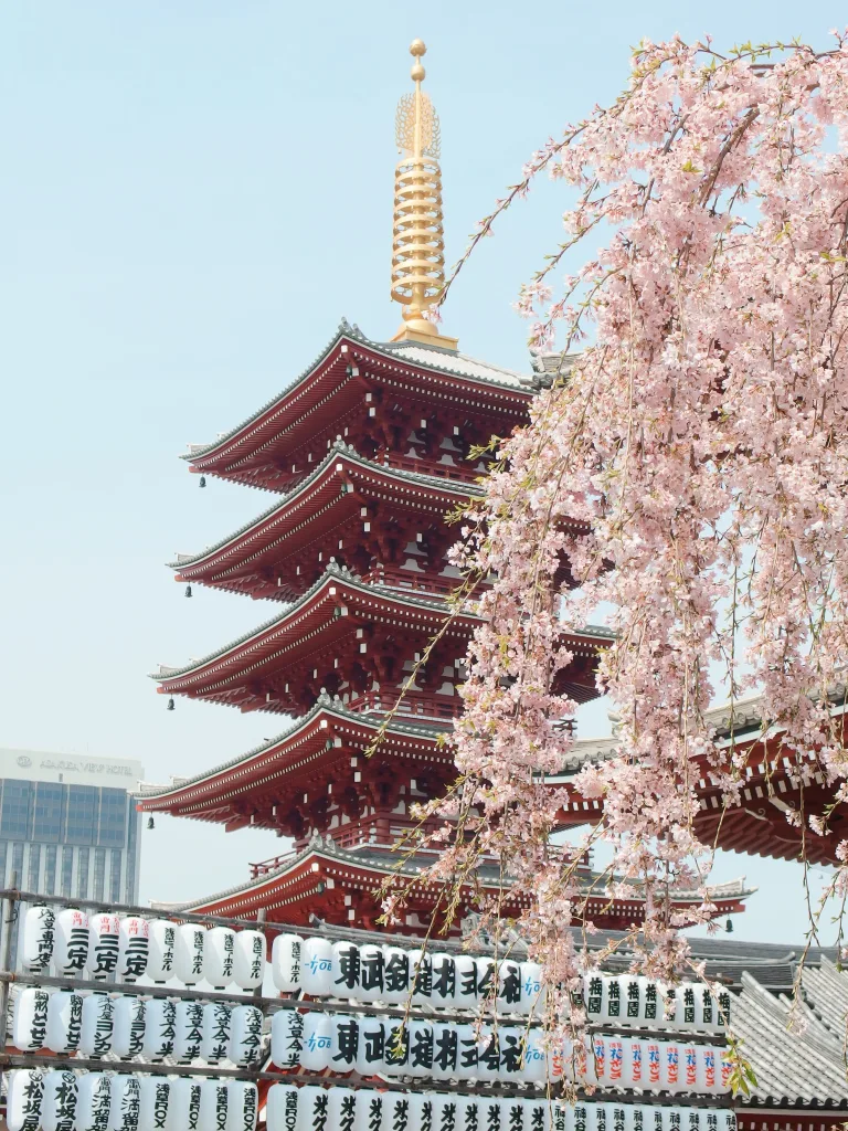 Whats The History Of Zen Gardens In Japan?